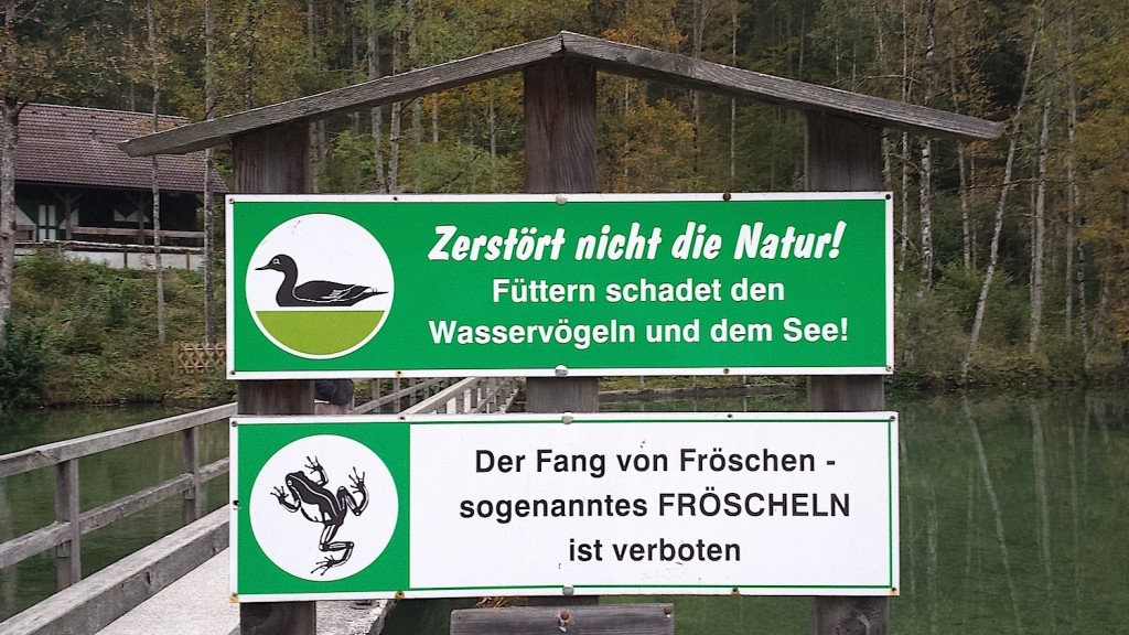 Österreicher «fröscheln» … Reto Widmer